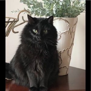 Make an offer! Great items always available!